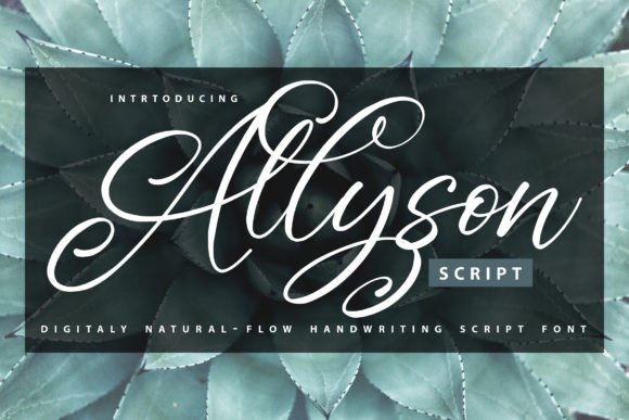 Allyson: A Script Font That Brings Warmth and Personality to Your Designs