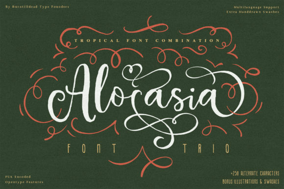 Alocasia: A Trio of Typefaces for Modern Creatives