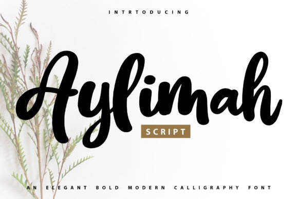 Aylimah: The Bold Calligraphy Font for Modern Designers