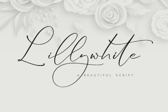 Introducing Lillywhite: A Modern Script for Lasting Impressions