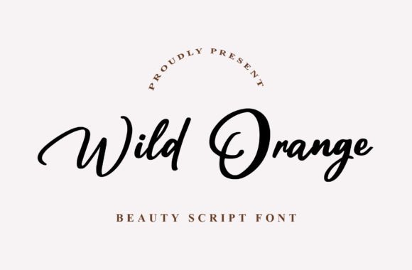 Wild Orange: A Modern Script Font for Elegant Branding